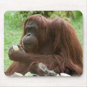 Alfombrilla De Ratón Comer Orangutan