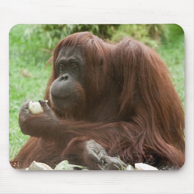 Alfombrilla De Ratón Comer Orangutan (Frente)