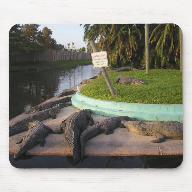 Alfombrilla De Ratón ¡Comerán Trespassers!Almohadilla del ratón (Frente)