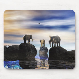 Alfombrilla De Ratón ¿cómo él consiguió allí, fred?