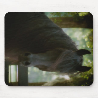Alfombrilla De Ratón Como un Mousepad ideal
