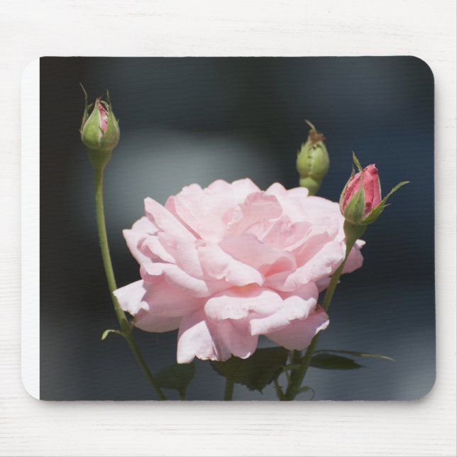 Alfombrilla De Ratón como una rosa (Frente)