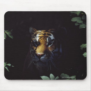 Alfombrilla De Ratón Compañeros del Tigre Siberiano (Panthera Tigris Al