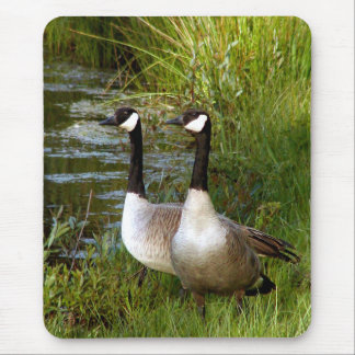 Alfombrilla De Ratón Compañeros para la vida