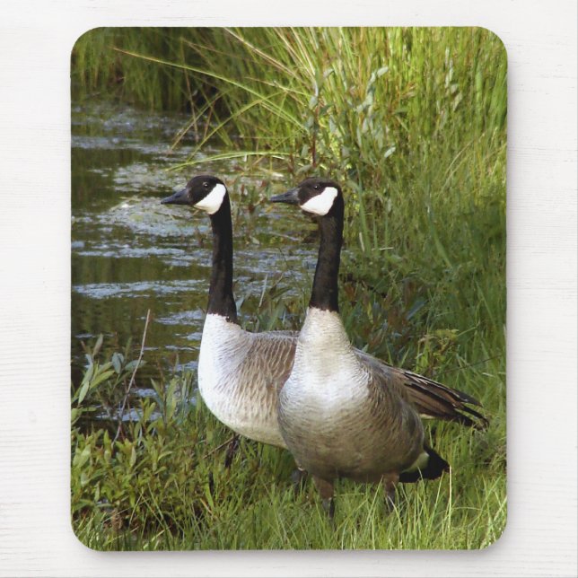 Alfombrilla De Ratón Compañeros para la vida (Frente)