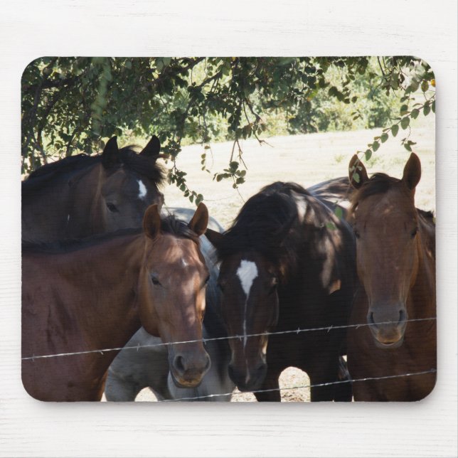 Alfombrilla De Ratón Compinches (Frente)