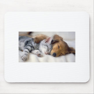 Alfombrilla De Ratón Compinches durmientes