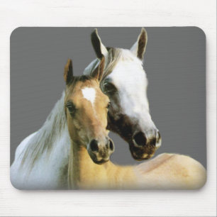 Alfombrilla De Ratón Compinches Mousepad del caballo