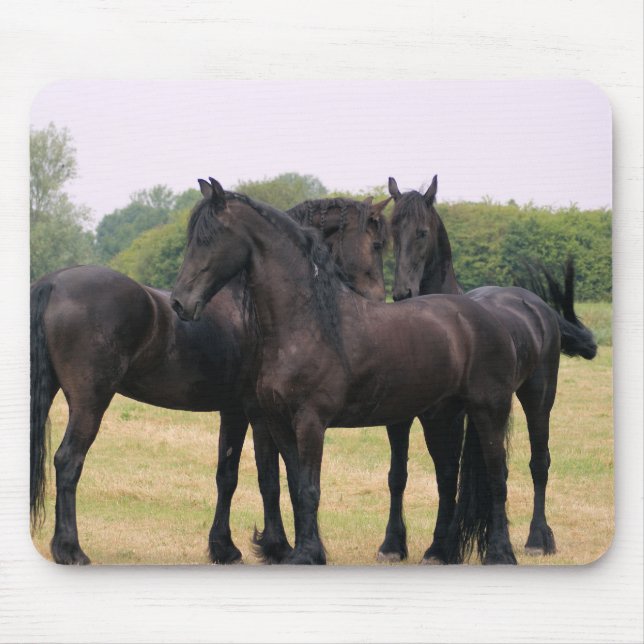 Alfombrilla De Ratón Comprobando el eachother hacia fuera (Frente)