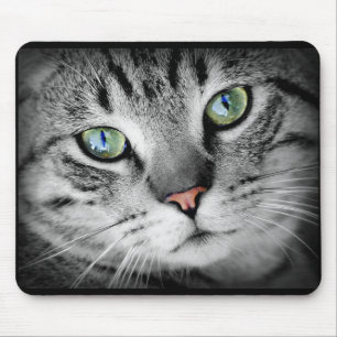 Alfombrilla de ratón con cara de gatito gris lindo