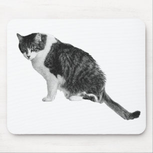 Alfombrilla de ratón con enfoque en gatos para un 