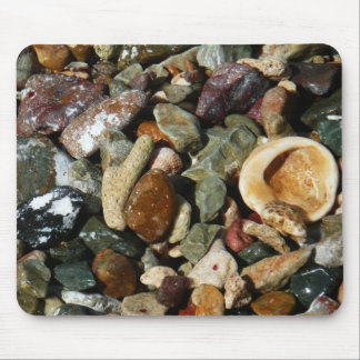 Alfombrilla De Ratón conchas, rocas y fotografía de la naturaleza coral
