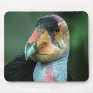Alfombrilla De Ratón Cóndor de California Mousepad
