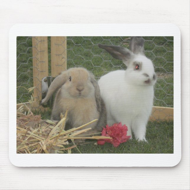 Alfombrilla De Ratón Conejitos (Frente)