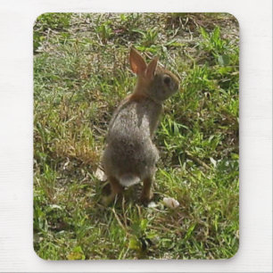 Alfombrilla De Ratón Conejo conejo conejo