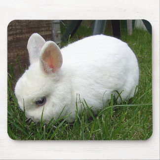 Alfombrilla De Ratón Conejo de armiño
