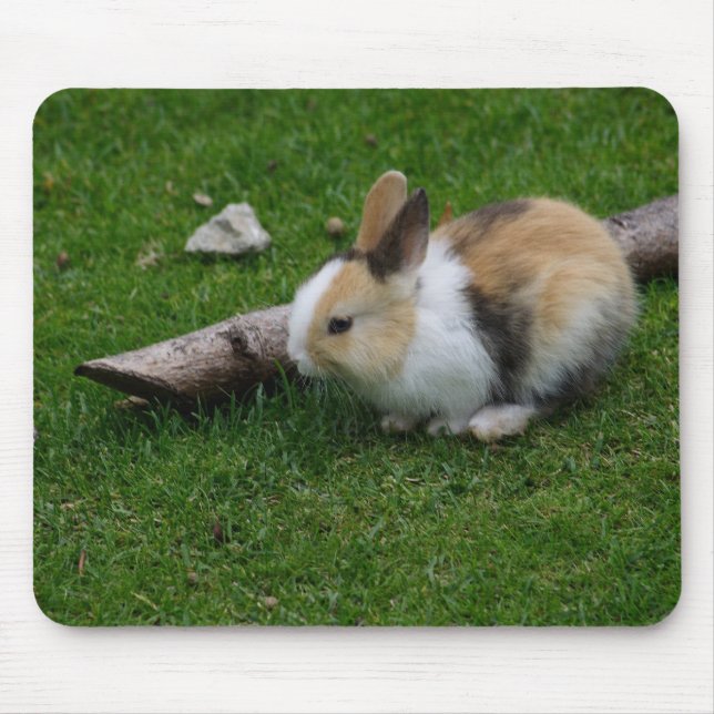 Alfombrilla De Ratón Conejo de bebé dulce (Frente)