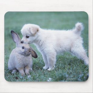 Alfombrilla De Ratón Conejo del perrito y del oído del Lop en césped