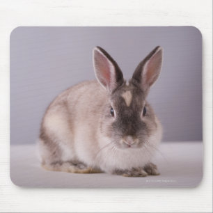 Alfombrilla De Ratón conejo, fondo simple, animal, mesa blanca,