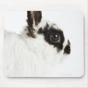 Alfombrilla De Ratón Conejo lanoso del jersey