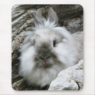 Alfombrilla De Ratón Conejo Lionhead