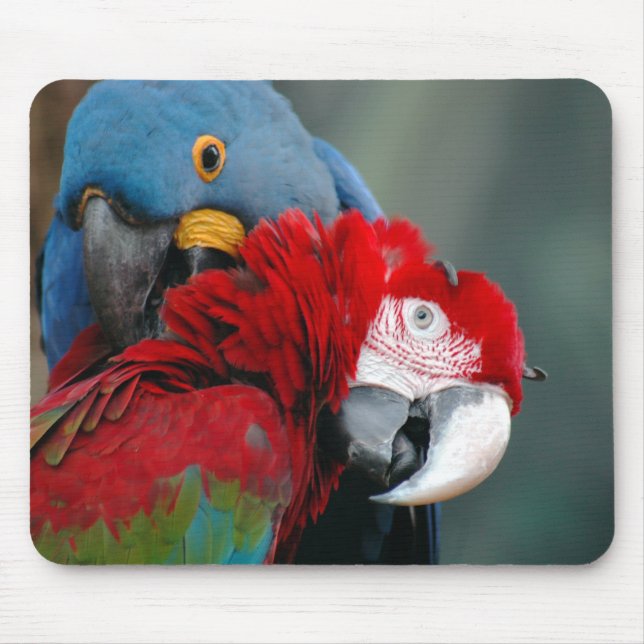 Alfombrilla De Ratón Confianza Mousepad (Frente)