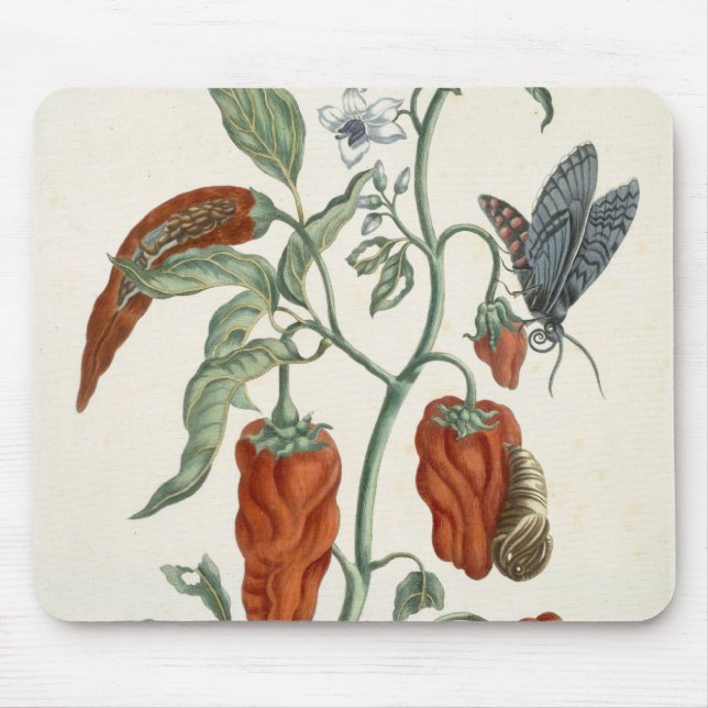 Alfombrilla De Ratón Consuelda, "de un herbario curioso", 1782 (inglés (Frente)