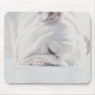 Alfombrilla De Ratón Consumición del bulldog