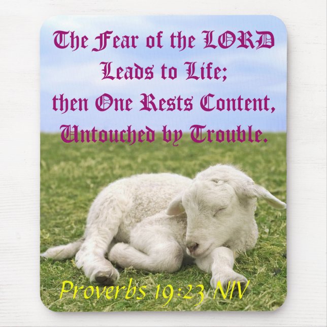 Alfombrilla De Ratón Contenido del resto. II (Frente)