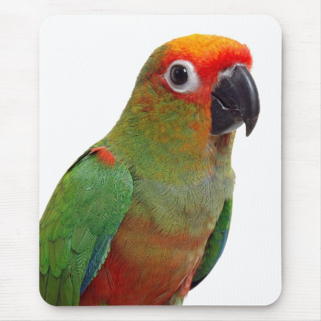 Alfombrilla De Ratón conure De oro-capsulado (Frente)