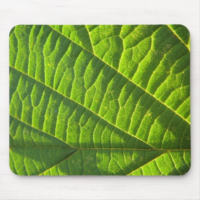 Alfombrilla De Ratón Cooles grünes Blattmuster (Frente)