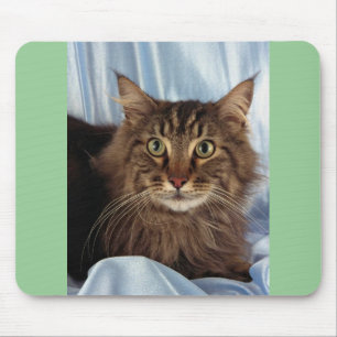 Alfombrilla De Ratón Coon de Maine, tabby marrón