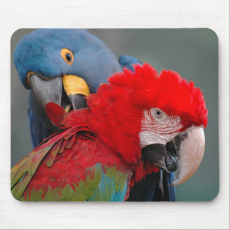 Alfombrilla De Ratón Cooperación