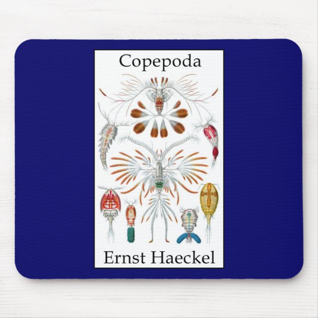 Alfombrilla De Ratón Copepoda de Ernst Haeckel (Frente)