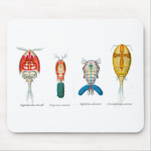 Alfombrilla De Ratón Copepods