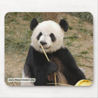 Alfombrilla De Ratón copia panda106