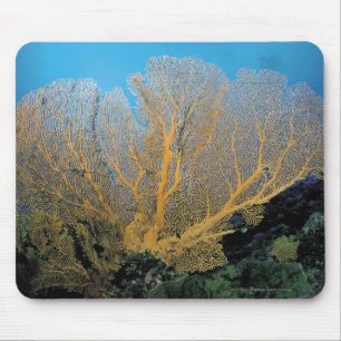 Alfombrilla De Ratón Coral de Gorgonian