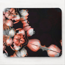 "Corazón blanco en negro desde el sol"