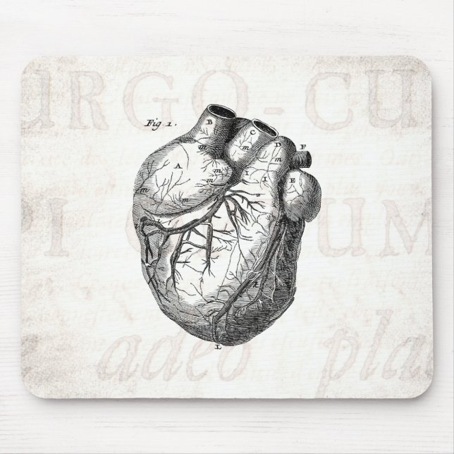 Alfombrilla De Ratón Corazones cardiacos retros de la anatomía del (Frente)