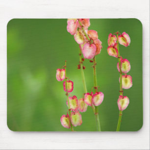Alfombrilla De Ratón Corazones de Papel (Rumex Woodii), Ukhahlamba