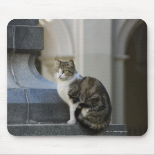 Alfombrilla De Ratón cordoba, argentina