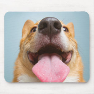 Alfombrilla De Ratón Corgi muy feliz de las imágenes el de Getty