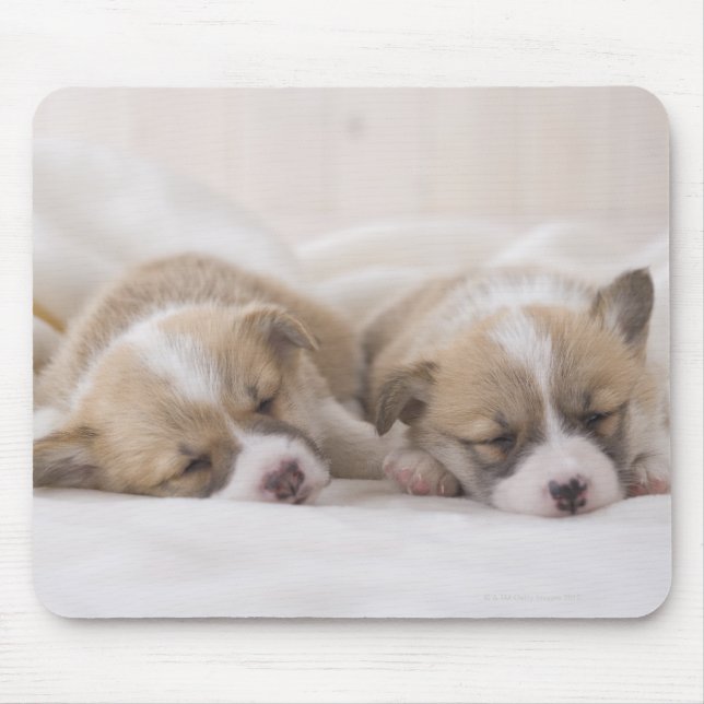 Alfombrilla De Ratón Corgi Puppies galés (Frente)