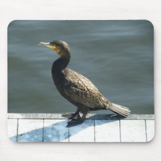 Alfombrilla De Ratón Cormorant