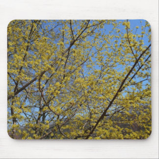 Alfombrilla De Ratón Cornelian Cherry Dogwood y Blue Sky Floral