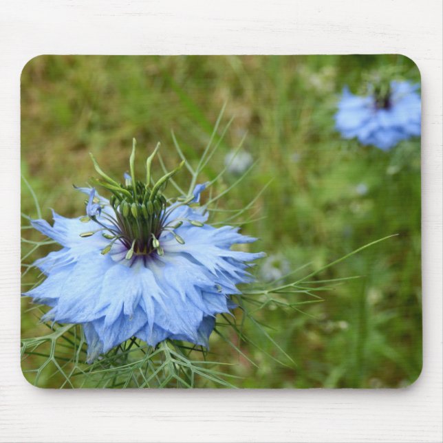 Alfombrilla De Ratón Cornflower Mouse Mat (Frente)