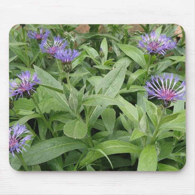 Alfombrilla De Ratón Cornflowers Mousepad (Frente)