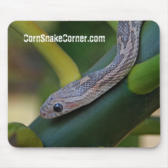 Alfombrilla De Ratón CornSnakeCorner Mousepad (Frente)