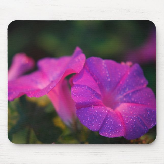 Alfombrilla De Ratón Correhuela Mousepad (Frente)