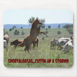 ALFOMBRILLA DE RATÓN CORTE DE SPORTALOOSA
